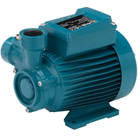 Насос вихревой Calpeda CTM 61 230 В поверхностный, чугун, 0.33кВт, 41м, 8л/мин