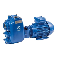 Насос дренажный Varisco JE 2-120 G10 NT20 поверхностный, чугун, 2.2кВт, 20м, 667л/мин