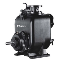 Насос центробежный, самовсасывающий FANCY FSP SP-2 SS imp. поверхностный, чугун, 9.2кВт, 27м, 667л/минвигателя