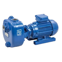 Насос дренажный Varisco JE 1-160 G30 NT20 поверхностный, чугун, 2.2кВт, 30м, 333л/мин