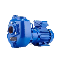 Насос дренажный Varisco JE 2-100 G10 TM20 поверхностный, чугун, 1.1кВт, 14м, 500л/мин